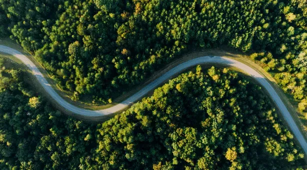Aerial view of a winding road through a lush green forest.