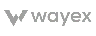 Wayex logo: a stylized grey 'W' followed by 'wayex' in grey sans-serif font.